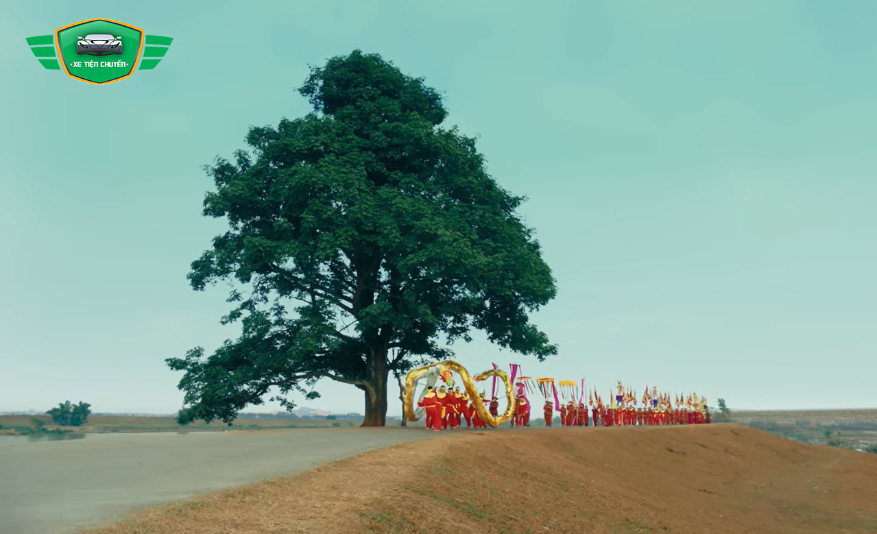 Hình ảnh cây cô đơn nép mình trên đường đê Hữu Chấp